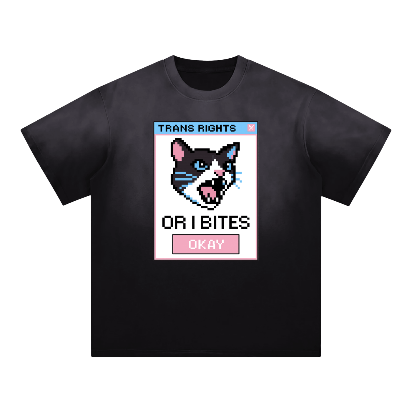Black / S TRANS RIGHTS OR I BITE Premium Oversized Tee ~ GAYSBIE ODMPOD