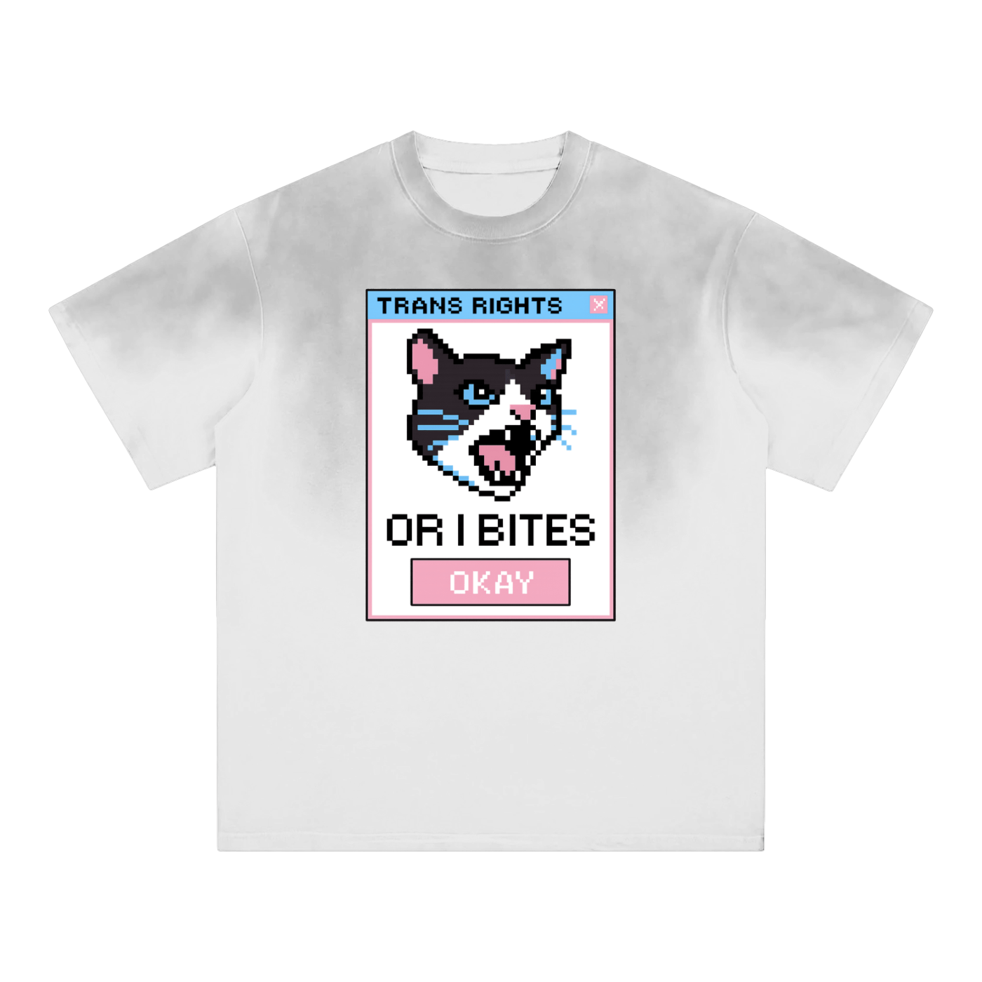 White / S TRANS RIGHTS OR I BITE Premium Oversized Tee ~ GAYSBIE ODMPOD