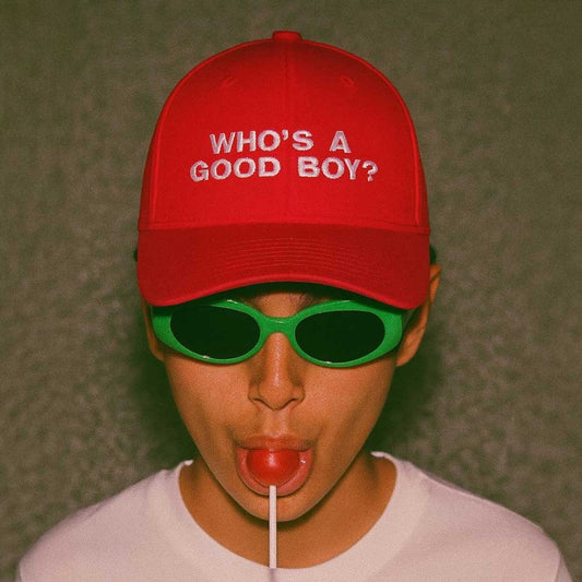 Caps WHO'S A GOOD BOY? Embroidered Cap ~ GAYSBIE PREMIUM MATERIALS