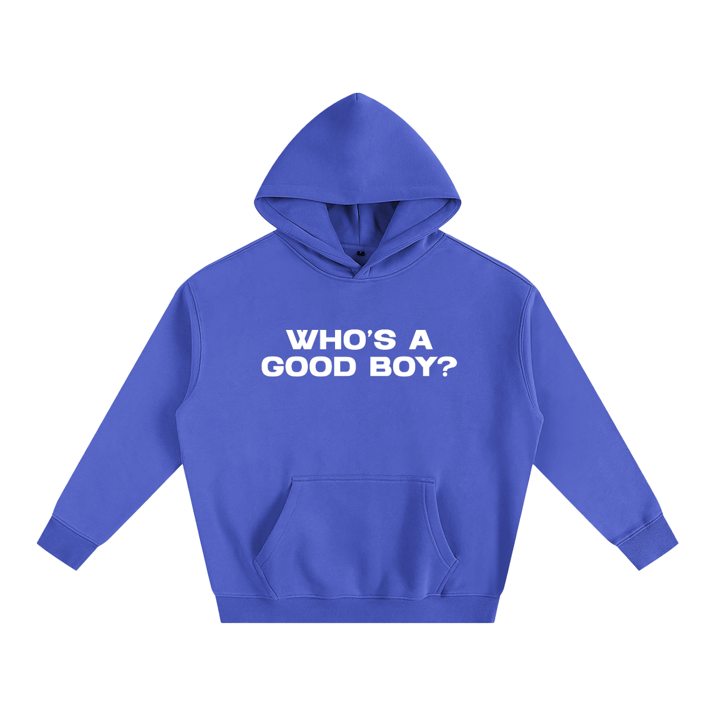 Premium Hood OCEAN / S WHO'S A GOOD BOY? Heavy Fleece Hoodie ~ GAYSBIE PREMIUM MATERIALS