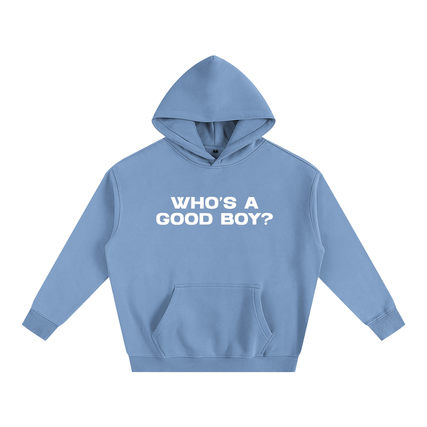 Premium Hood SKY / S WHO'S A GOOD BOY? Heavy Fleece Hoodie ~ GAYSBIE PREMIUM MATERIALS