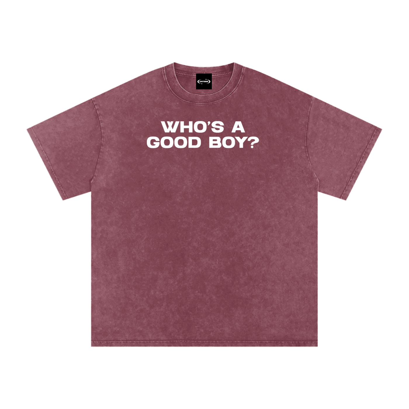 Oversize Tee SPICY / S WHO'S A GOOD BOY Premium Oversized Tee ~ GAYSBIE PREMIUM MATERIALS